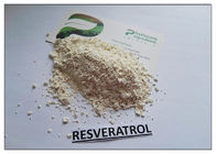 สารสกัดจากพืชธรรมชาติ Resveratrol Trans Extract 99% Polygonum Cuspidatum Root Extract
