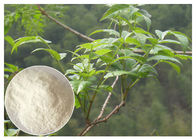 ผงสกัดจากสมุนไพรสำหรับอาการเมาค้าง Ampelopsis grossedentata Extract powder