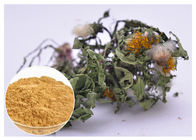 ลดความดันโลหิตสมุนไพรสารสกัดจากพืช Flavones Dandelion Root Extract Powder