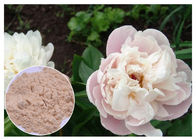 ผงสกัดจากดอกพีโอนีผลิตภัณฑ์เสริมอาหารต้านการอักเสบจากธรรมชาติ CAS 23180 57 6