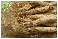 สารสกัดจากสมุนไพรผง Ginsenosides Panax Ginseng สำหรับผลิตภัณฑ์เสริมอาหาร