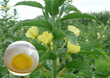 PMS Organic Plant Oils อาหารเสริมน้ำมัน Evening Primrose สำหรับแคปซูล
