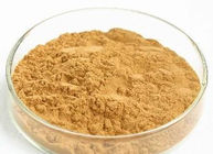 สารต้านอนุมูลอิสระที่มีประสิทธิภาพสารสกัดจากธรรมชาติ Natural Dandelion Roar Extract Powder