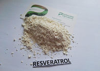 Anti Aging สารสกัดจาก Knotweed 99% Giant, อาหารเสริม Resveratrol ทรีทเม้นต์สีขาว