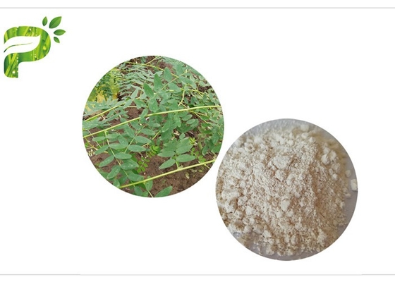 CAS 84687 43 4 Astragalus Membranaceus สารสกัด Astragaloside IV 98% Anti Aging