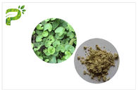 ผงธรรมชาติส่วนผสมเครื่องสำอางค์ Acne Gotu Kola Leaf Extract Asiaticoside Triterpenes