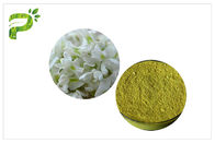 CAS 153-18-4 ผลิตภัณฑ์เสริมอาหารจากธรรมชาติ Sophora Japonica Extract Rutin Powder