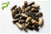 สารสกัดจากพืชสีเหลืองอ่อนผงส่วนผสมจากธรรมชาติ Milk Thistle Seed Extract สำหรับแพทย์ตับ