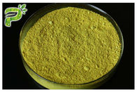 Sophora Japonica extract Rutin ผง / Rutin Extract / Rutin Vitmain P ผงสำหรับผลิตภัณฑ์เสริมอาหาร