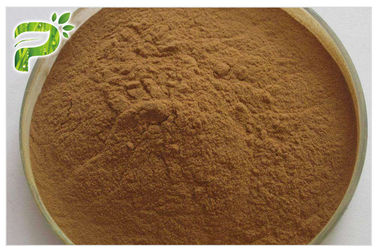 สีน้ําตาลเหลืองขาว ขนาดละเอียด ขนาดปูน สารสกัดราก Ginseng 20 ((R) - Ginsenoside Rh2/Rg3