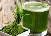 100 Mesh Green Health Powder ข้าวบาร์เลย์หญ้าน้ำผลไม้ผงสำหรับอาหารเสริม