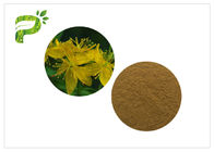 St.John Wort Hypericin Hyperoside Herbal Extract Powder CAS 548 04 9