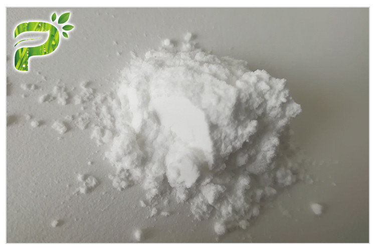 ซาเดียมโพลิกลูทามาท PGA Powder สําหรับการปรับความชุ่มชื้นผิวนาน CAS 28829 28 1