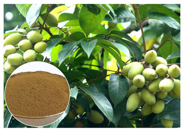 Oleuropein Natural Olive Leaf สารสกัดจากธรรมชาติด้วยเครื่องทดสอบ HPLC