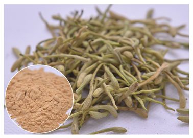 5%, 25% Lonicera japonica สารสกัด พูนดอกผึ้งผึ้ง