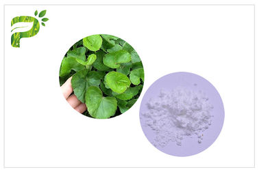 CAS 34540 22 2 สารสกัดจากใบบัวบกสารสกัดจาก Madecassoside Gotu Kola