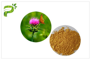 สารสกัดจากพืชสีเหลืองอ่อนผงส่วนผสมจากธรรมชาติ Milk Thistle Seed Extract สำหรับแพทย์ตับ