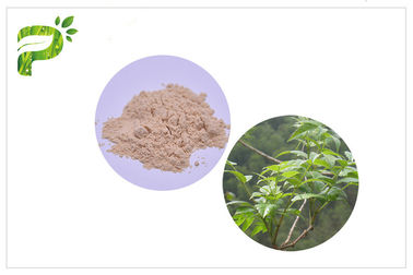 Ampelopsis Grossedentata แยก Dihydromyricetin / DHM สำหรับอาการเมาค้างอาการเมาค้าง CAS 27200 12 0